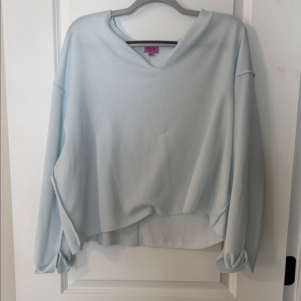 Francesca's Collections Light Blue Sweater